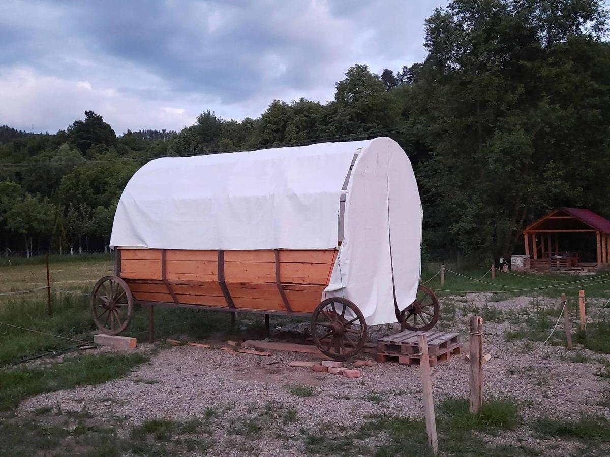 Campingul Apusenilor Hotel Suncuius Exterior photo